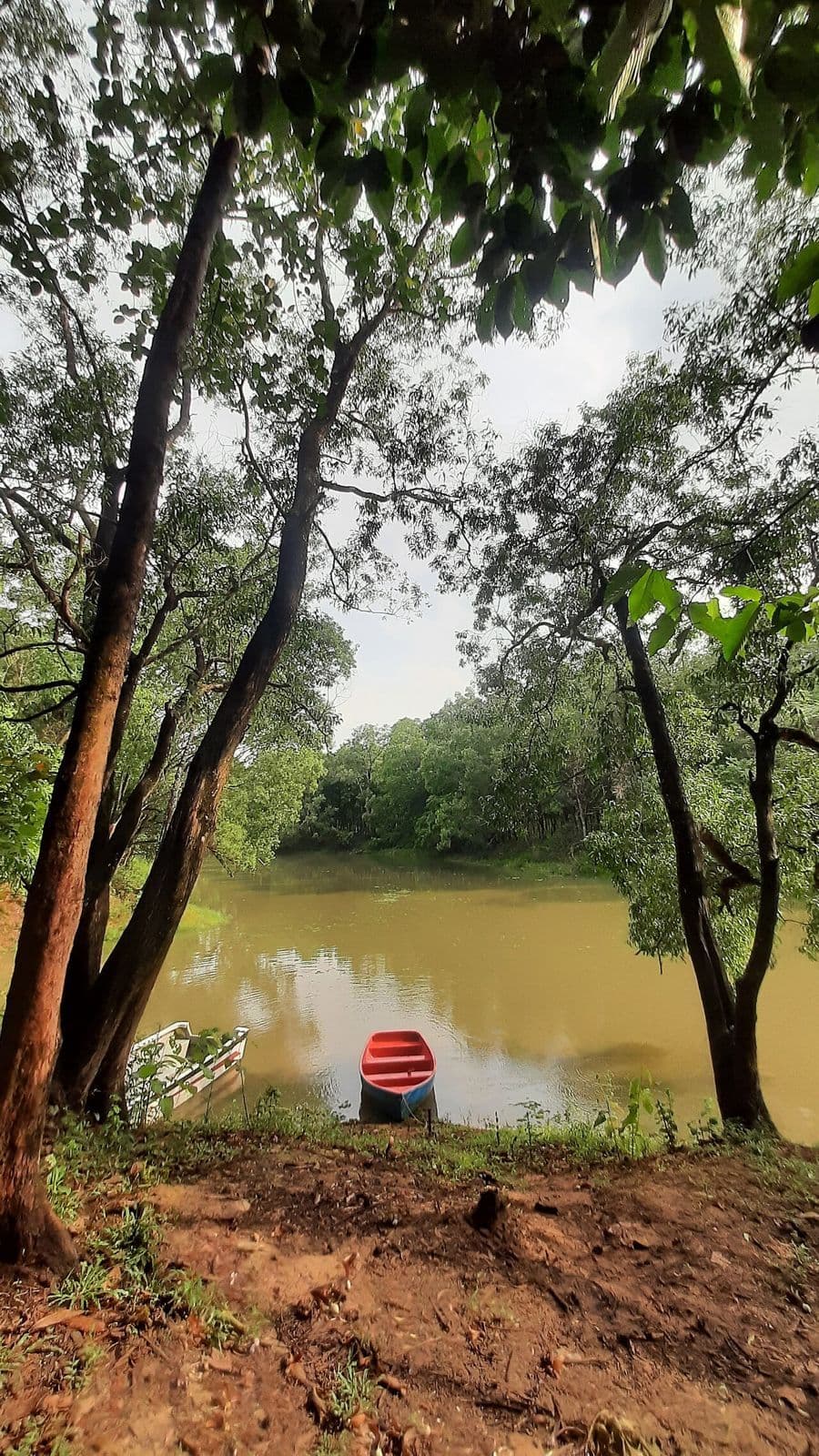 ভাওয়াল জাতীয় উদ্যানের জলাশয়ের পাড়ে একটি ছোট নৌকা