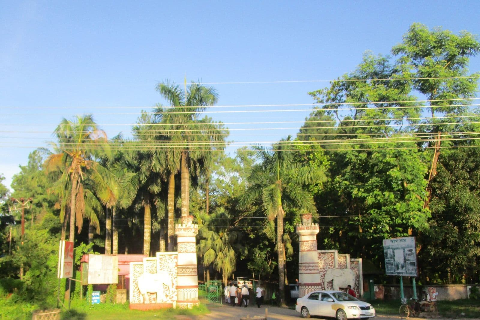ভাওয়াল জাতীয় উদ্যানের প্রধান ফটক ও পাম গাছ
