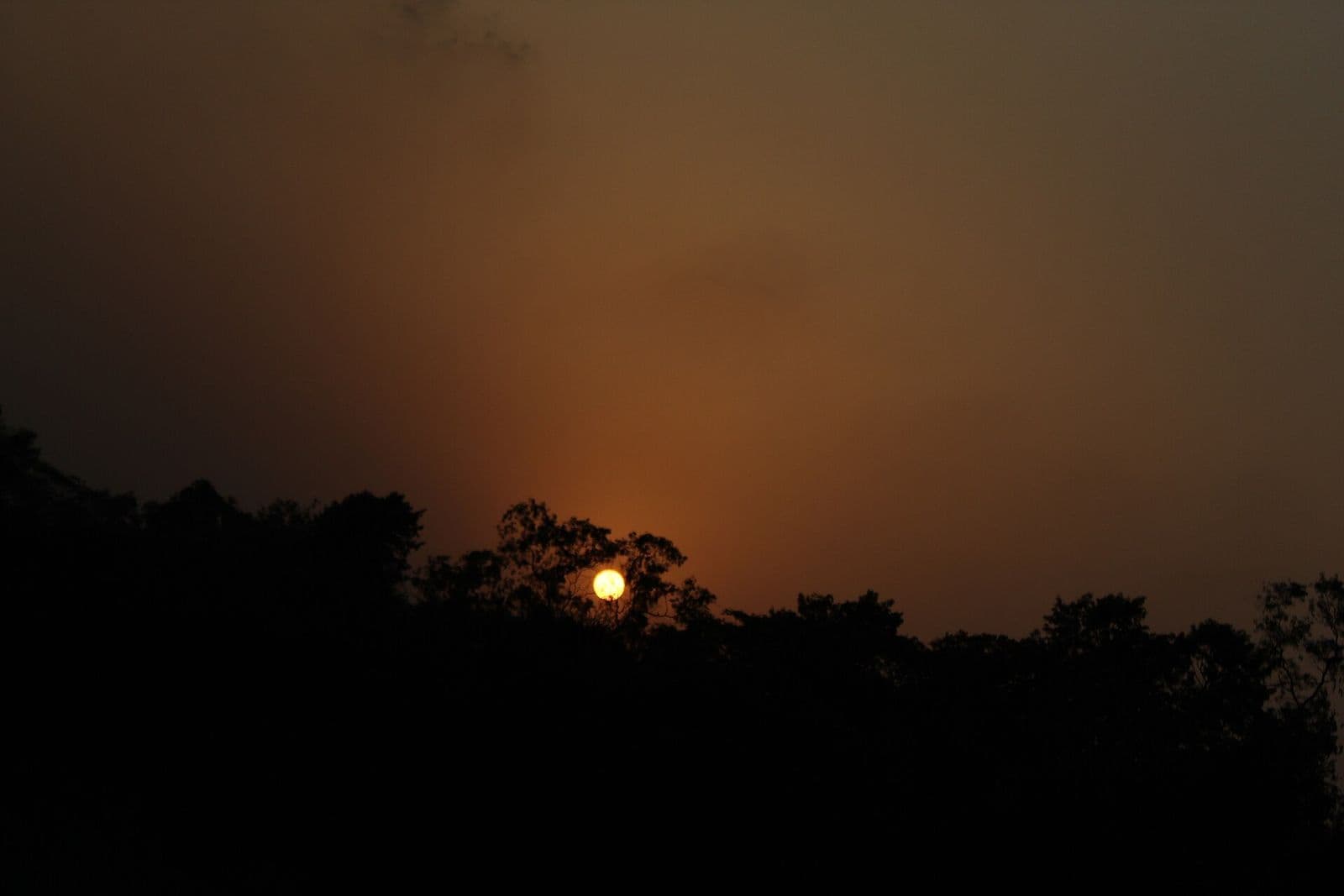 ভাওয়ালের বনের ওপারে কমলা আকাশে সূর্যাস্ত