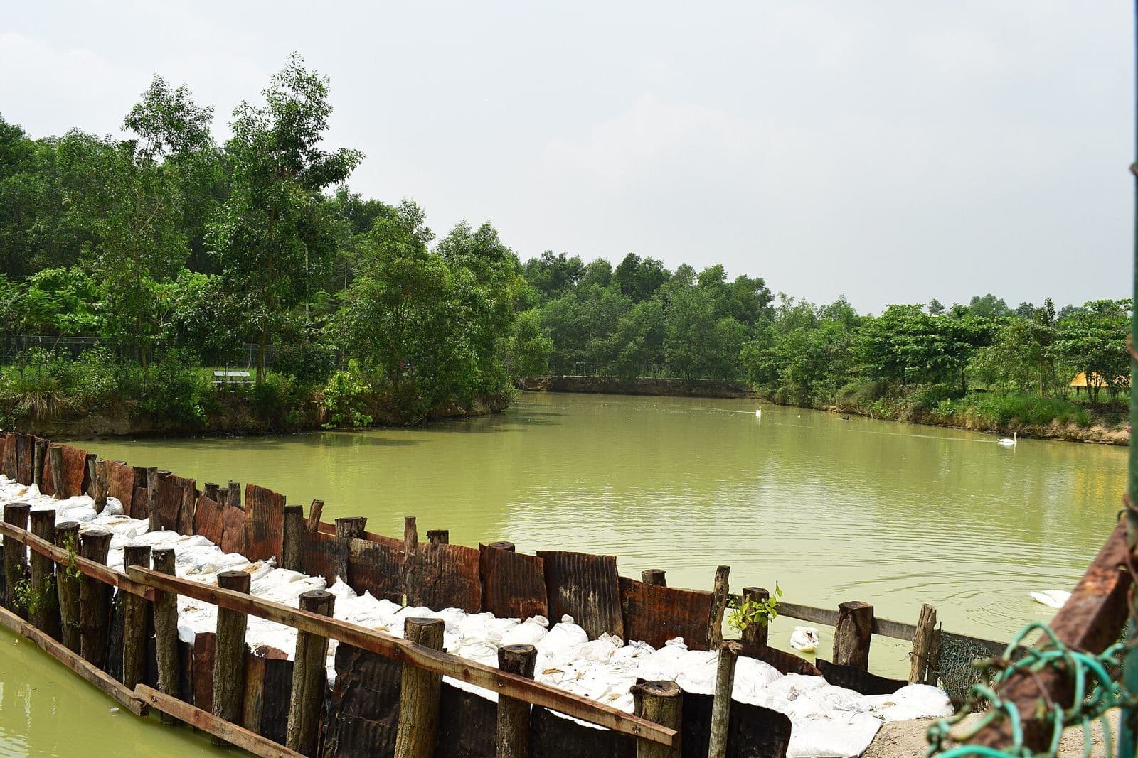 সাফারি পার্কের ভেতরের জলাধার ও বাঁধ