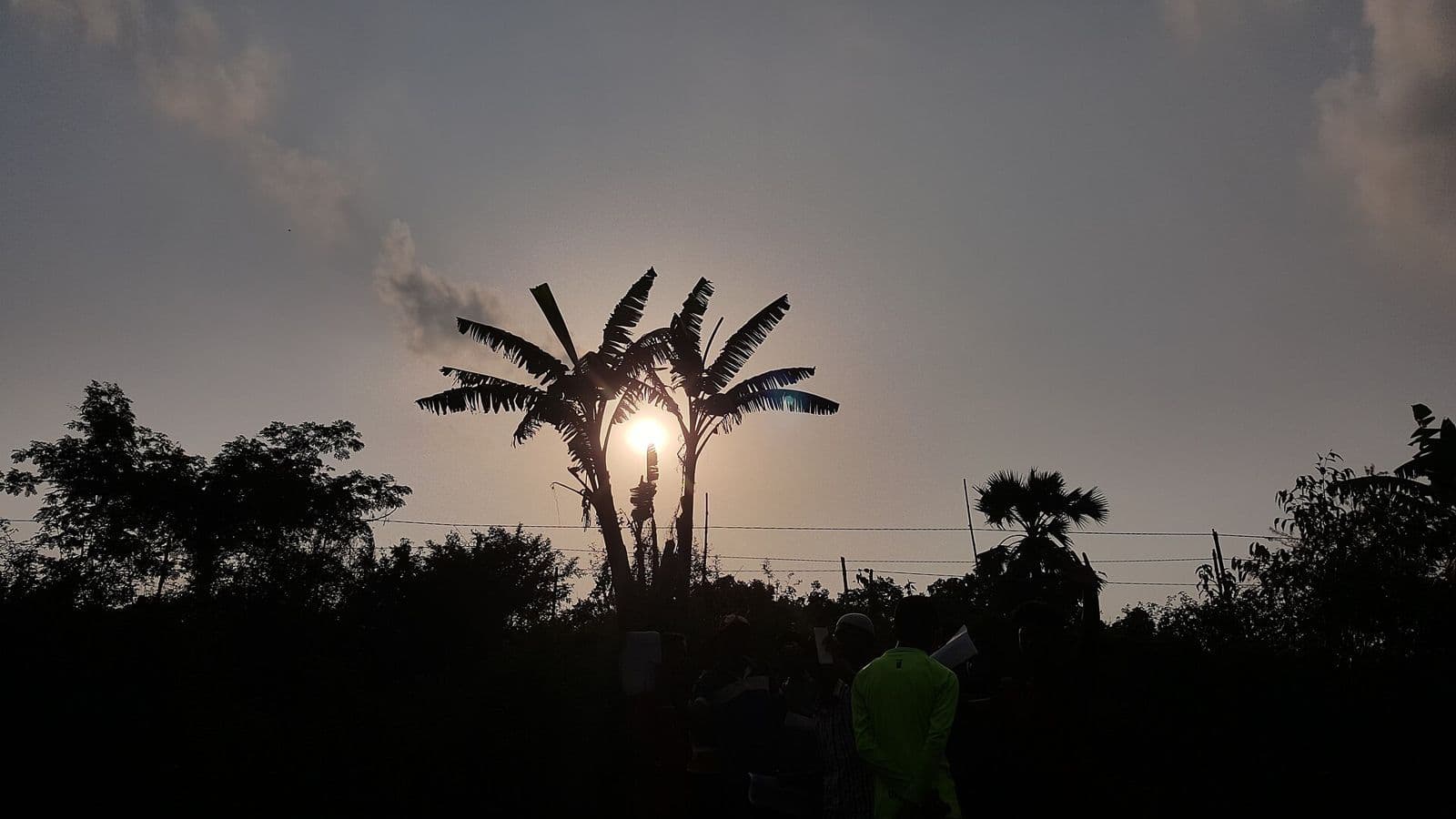 টঙ্গীতে নারকেল গাছের পেছনে সূর্যাস্ত